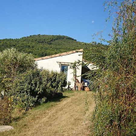 Maison De Campagne L'Etang Сейан Екстериор снимка
